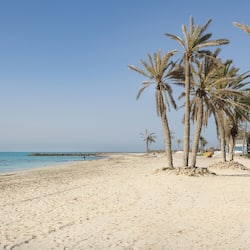Plage, chaises longues, parasols