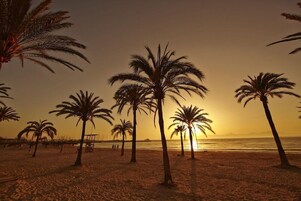 Una playa con palmeras y un atardecer.