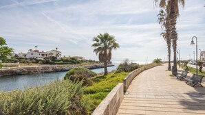 A coastal walkway with benches, palm trees, and a view of the sea.