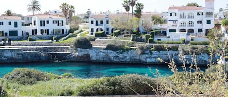 Beach/ocean view