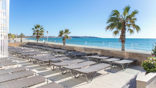 A beachside lounge with rows of sun loungers, palm trees, and a view of the sea.