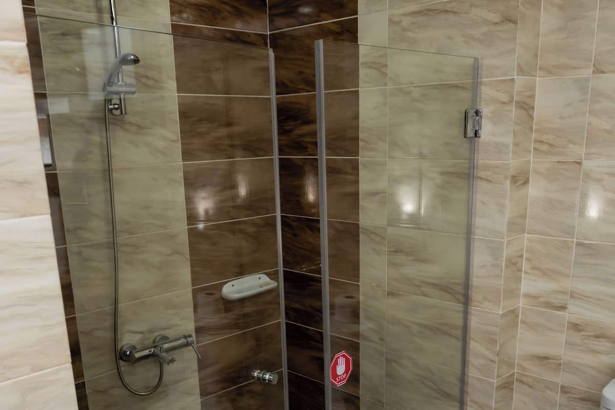 Rainfall showerhead, hair dryer, towels, soap