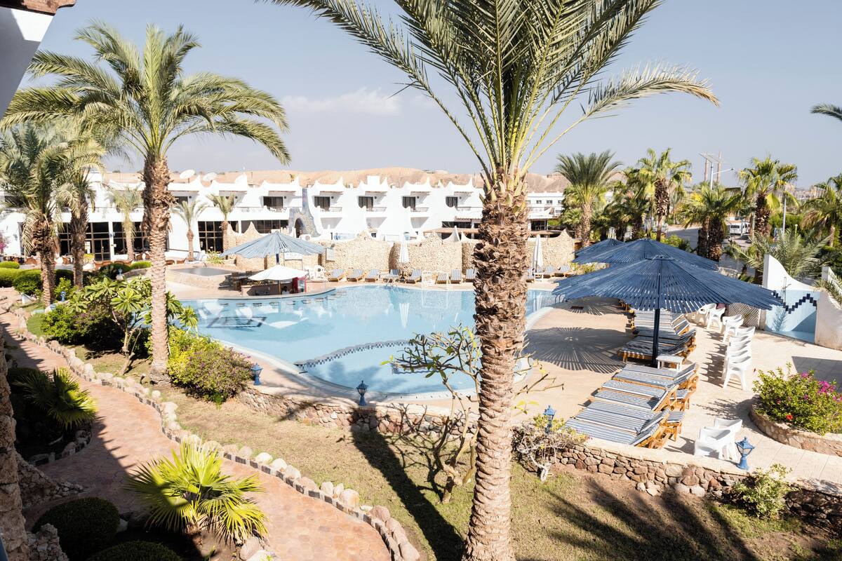 Um resort com piscina, palmeiras e espreguiçadeiras.
