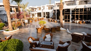 A spacious outdoor patio with wicker furniture, palm trees, and a modern building with large windows. - Turquoise Beach Hotel (Sharm El Sheikh)