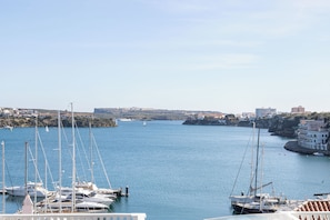 Vista desde la propiedad