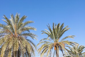 الإطلالة من المنشأة
