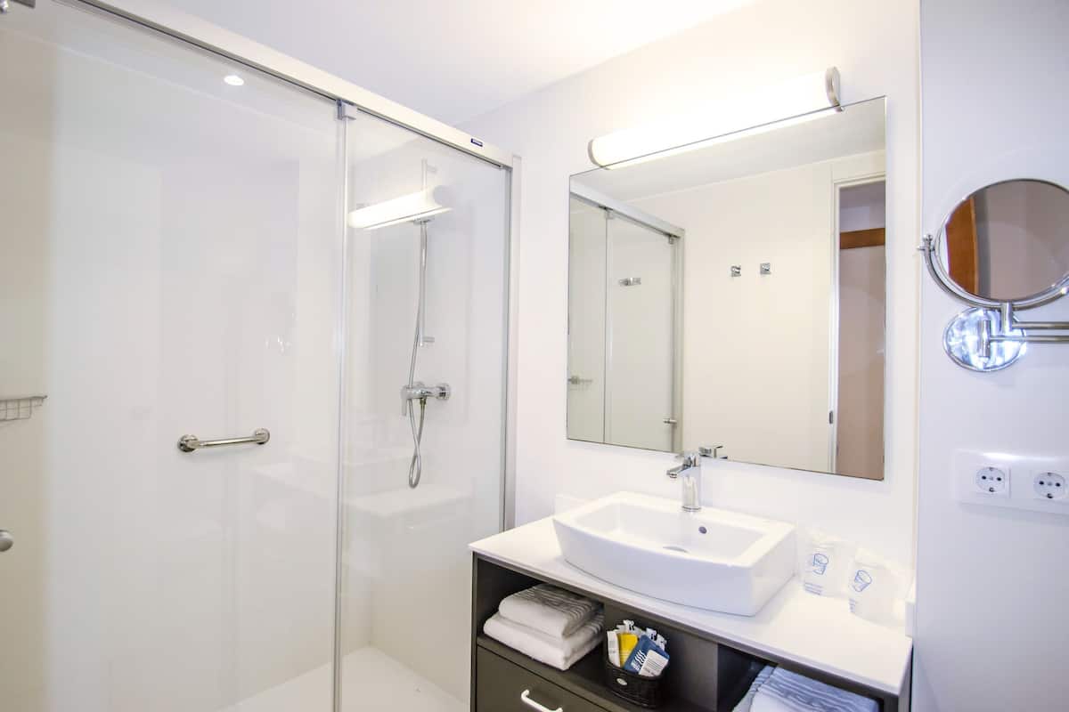 shower, free toiletries, hair dryer, towels