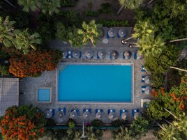 Vista aérea de una piscina rectangular rodeada de sillas de descanso y sombrillas, con palmeras y arbustos florecientes.