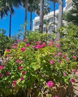 Jardín