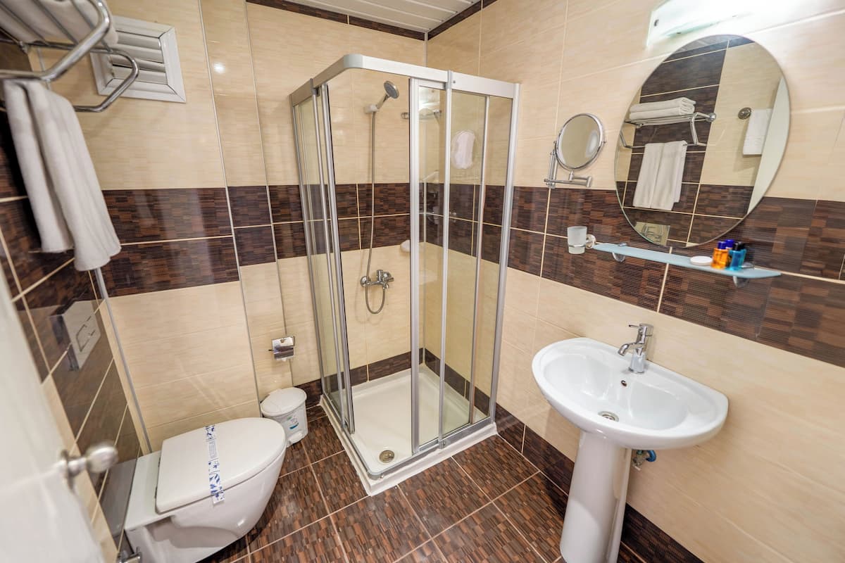 Ein Badezimmer mit Duschkabine, Toilette, Waschbecken und Spiegel.