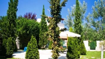 Terrasse/gårdhave