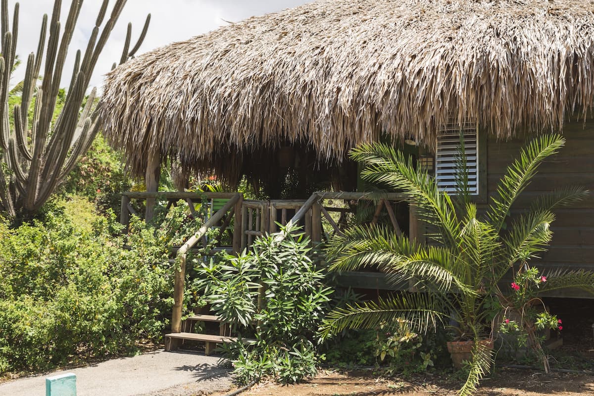 A thatched-roof hut with a wooden staircase leading up to it, surrounded by various tropical plants.