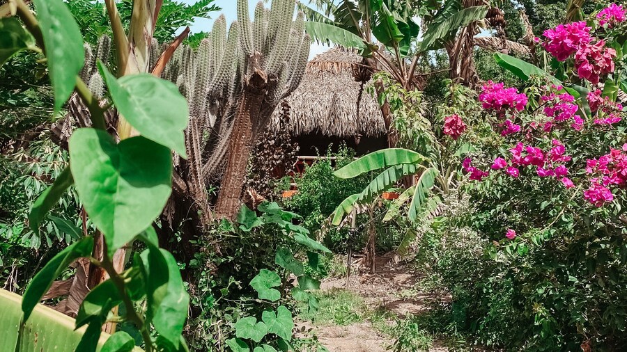 Mondi Lodge