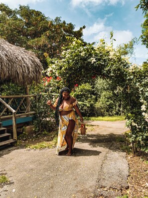 A pathway leading to a rustic structure with a thatched roof, surrounded by lush greenery and flowering plants. - Mondi Lodge (Sint Michiel)