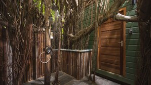 Una puerta de madera con un picaporte de metal, rodeada de follaje y enredaderas.