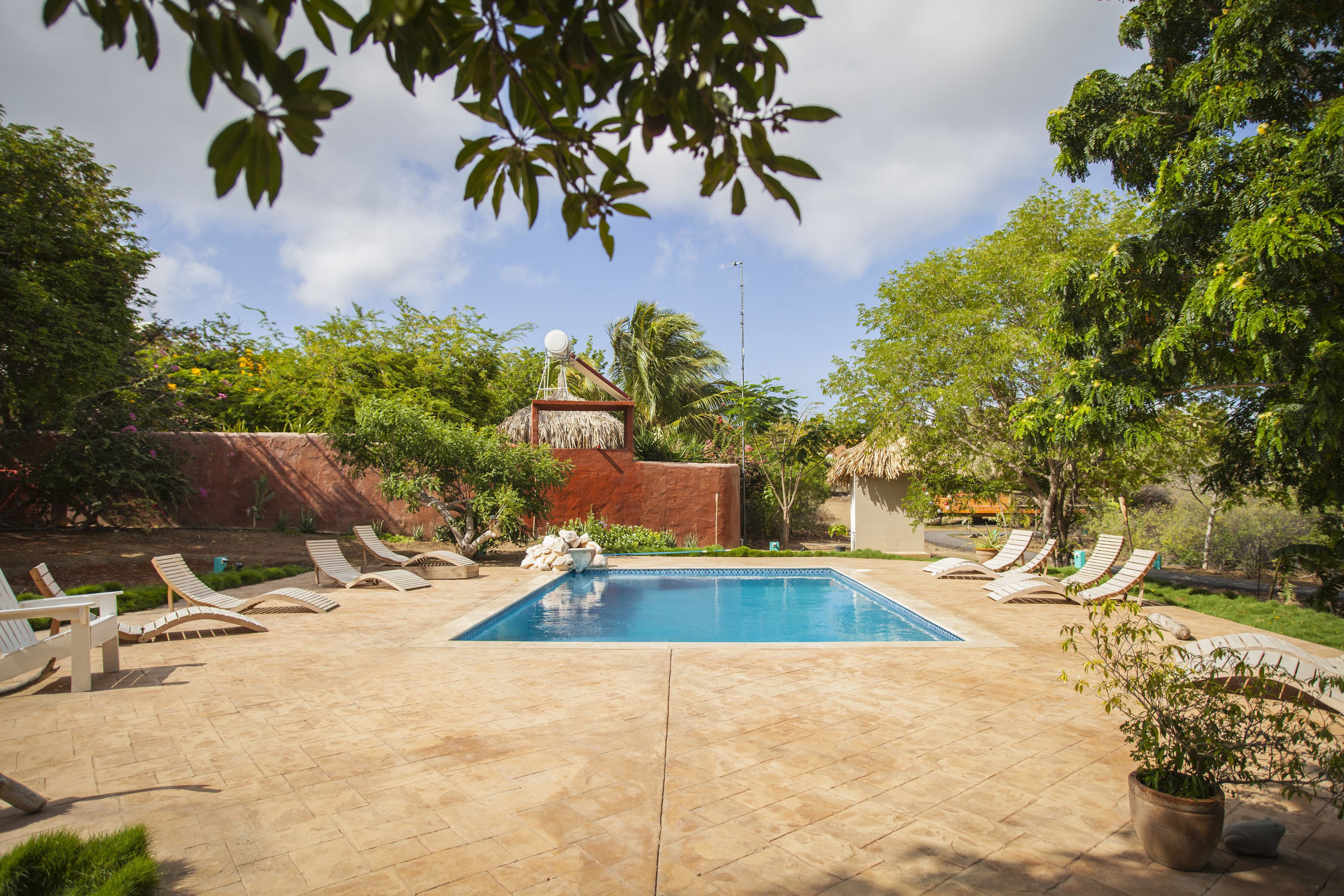 A swimming pool with lounge chairs, surrounded by greenery and a thatched-roof structure.
