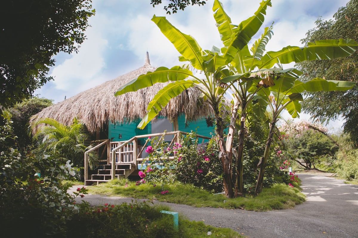 A thatched-roof house with a wooden staircase leading to a porch, surrounded by lush greenery and flowering plants.