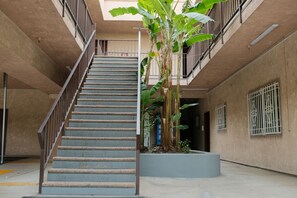 A multi-level building with a central staircase, metal railings, and a large plant in the center.