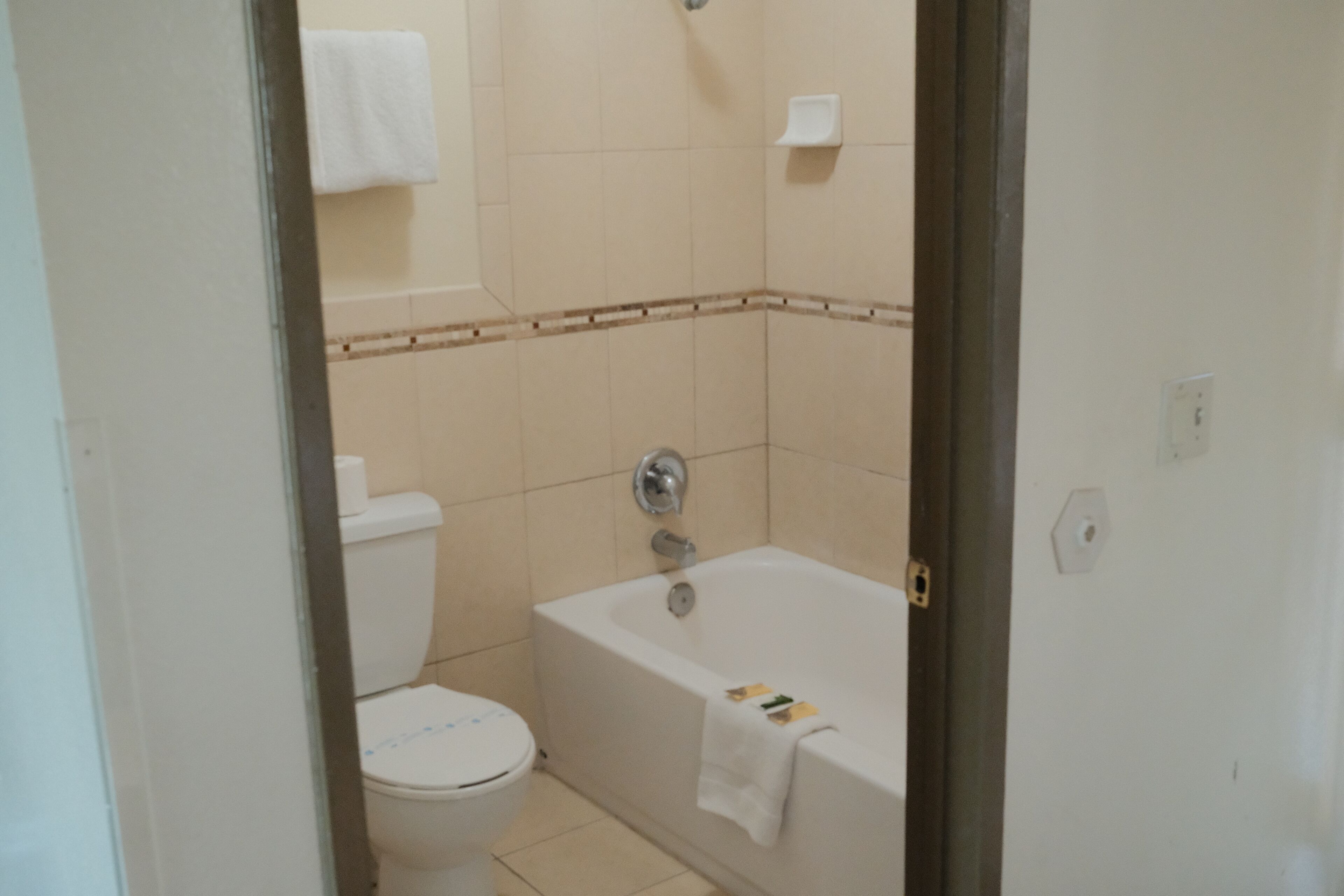 A bathroom with a toilet, a bathtub, and a shower.