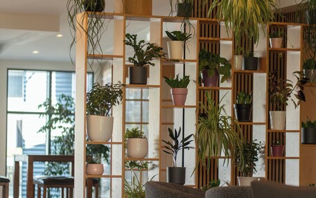 A modern interior with a wooden partition holding various potted plants, two grey upholstered chairs, and a chandelier.