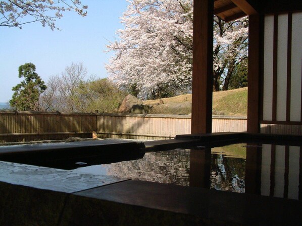 View from property - Hotel New Katsura (Sado)