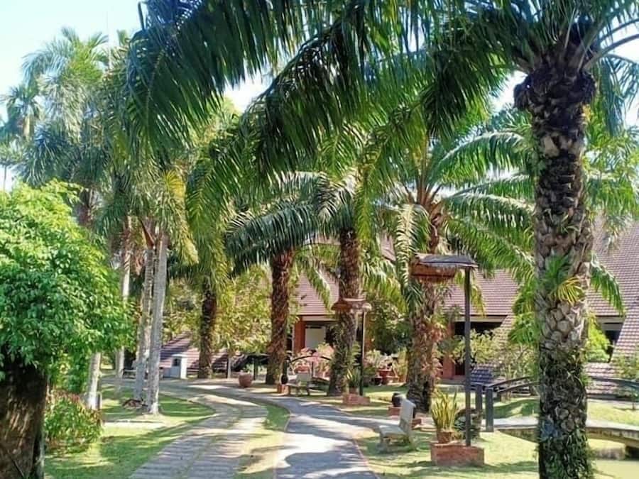 Pemandangan dari hartanah