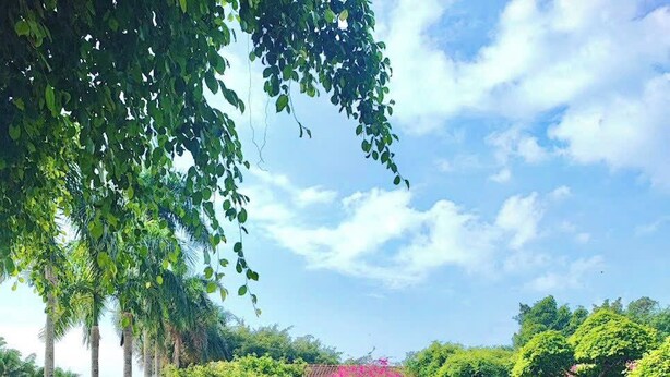 A serene pond with swans, surrounded by lush greenery and a clear sky. - Les Hameaux de l'Orient (Ho Chi Minh City)
