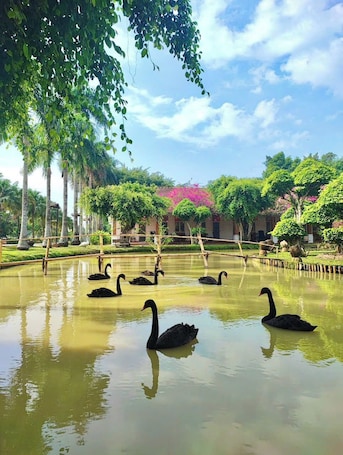 A serene pond with swans, surrounded by lush greenery and a clear sky.. Les Hameaux de l'Orient