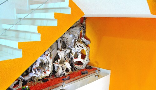 Hotel Bella Vista Tehuacan