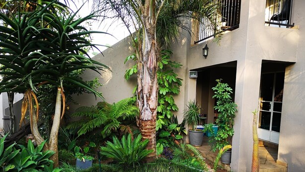 Ein gepflegter Garten mit verschiedenen Pflanzen und einer Palme vor einem Gebäude mit Balkon.