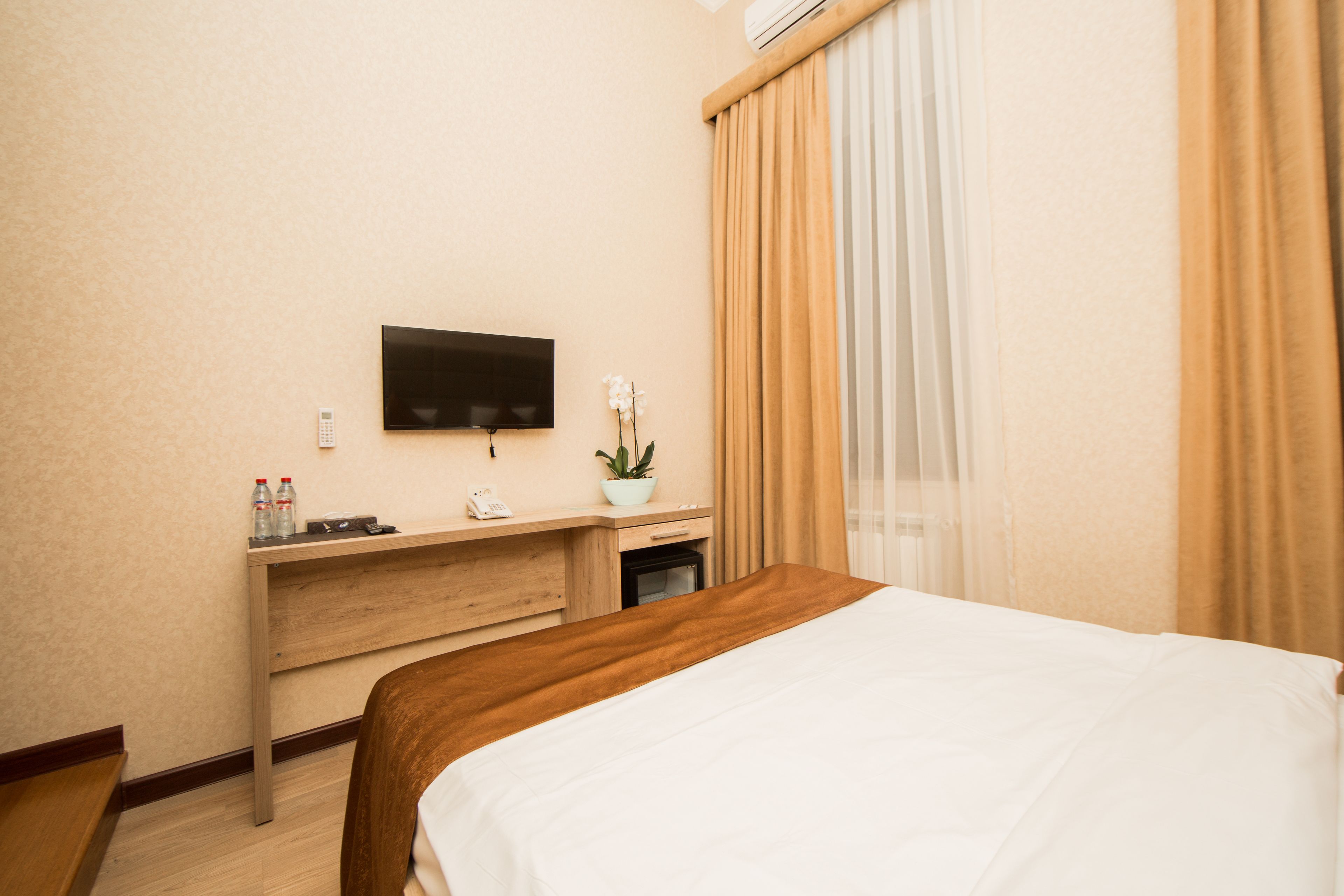 A hotel room with a bed, a desk with a flat-screen TV, a small table with a plant, and a window with curtains.