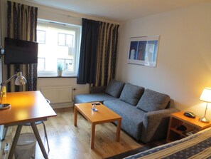 33-inch LCD TV with satellite channels, TV