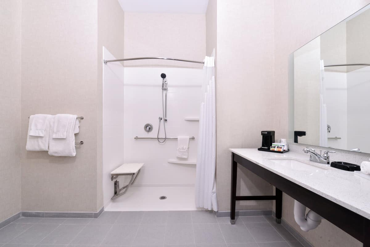 Standard Room, 1 King Bed, Accessible (Mobil Roll Shower) | Desk, iron/ironing board, cribs (free), WiFi (free)