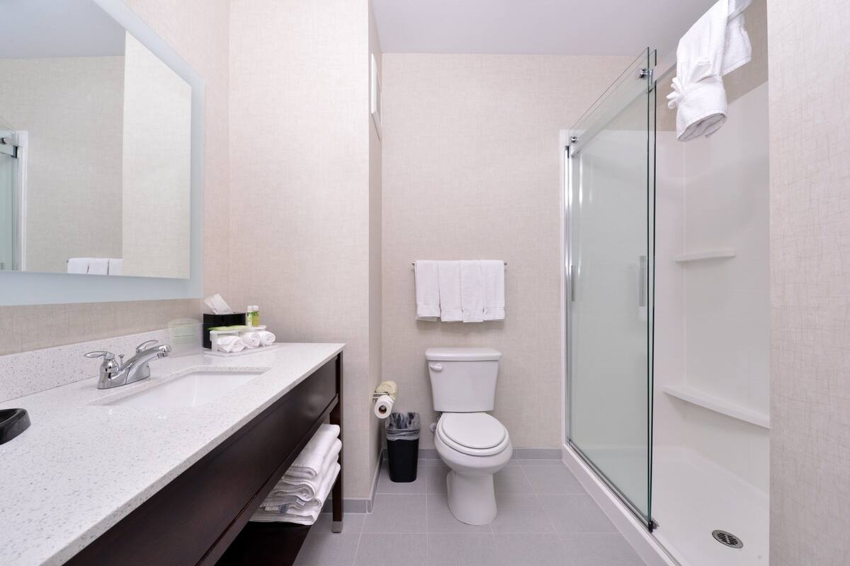 A modern bathroom with a glass shower enclosure, a white sink with a mirror, and a toilet.