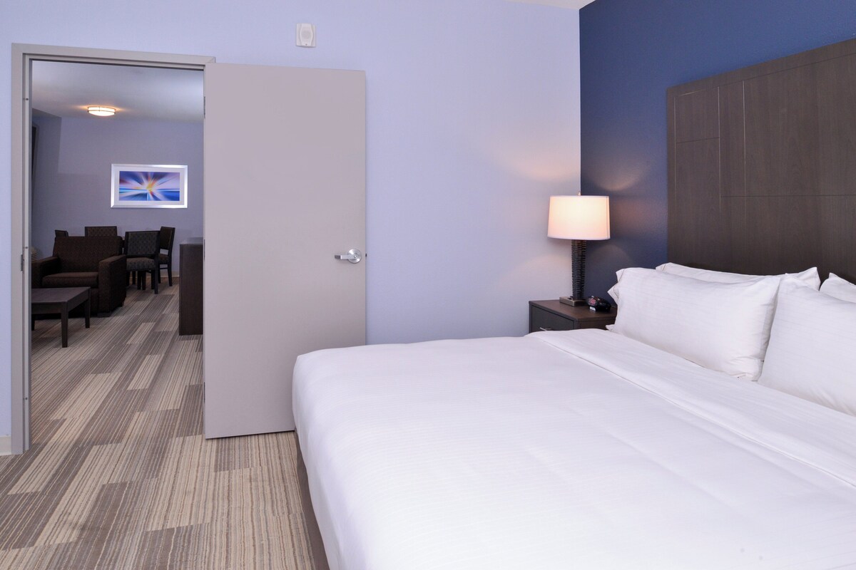 Suite, 1 cama de matrimonio grande | Escritorio, tabla de planchar con plancha, cunas gratuitas y wifi gratis