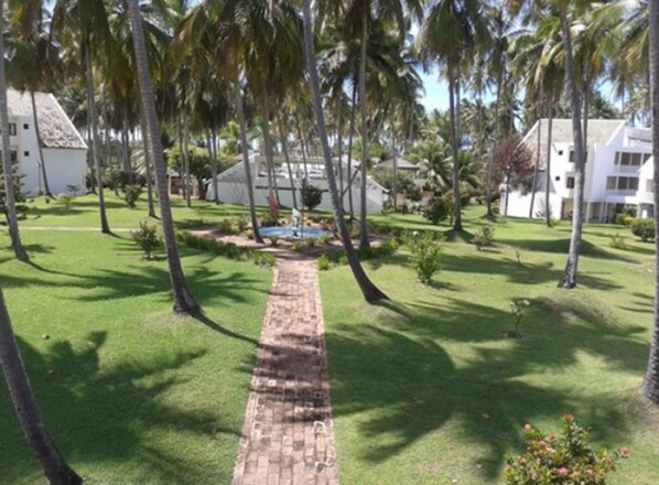 A pathway leading to a pool surrounded by palm trees and white buildings. - Hotel D'Anatureza (Maceió)