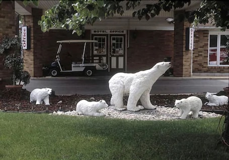 Detalle exterior. Ivy Rose Motor Inn