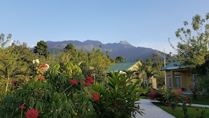 A garden path leading to a building with a green roof, surrounded by lush greenery and flowering plants. - Corinto Pearl Eco Resort (El Porvenir)