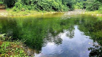 A calm river surrounded by dense greenery.
