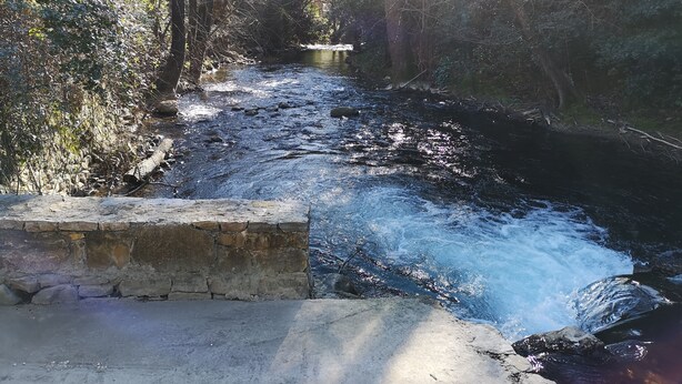 A stone bridge over a flowing river surrounded by trees and vegetation.