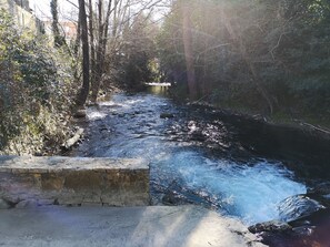 Un puente de piedra sobre un río caudaloso rodeado de árboles y vegetación.