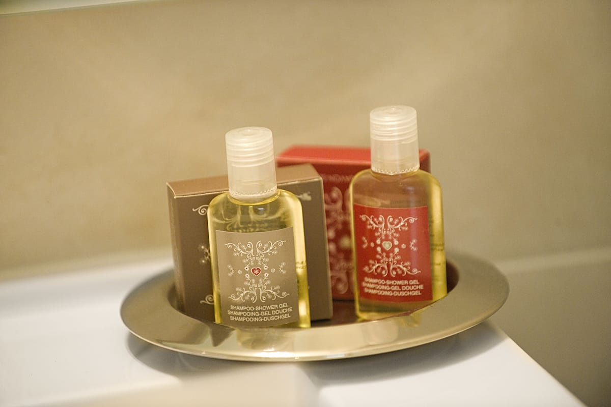 standard room | bathroom amenities | shower, hair dryer, towels