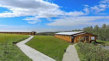Habitació individual estàndard | Vista aèria