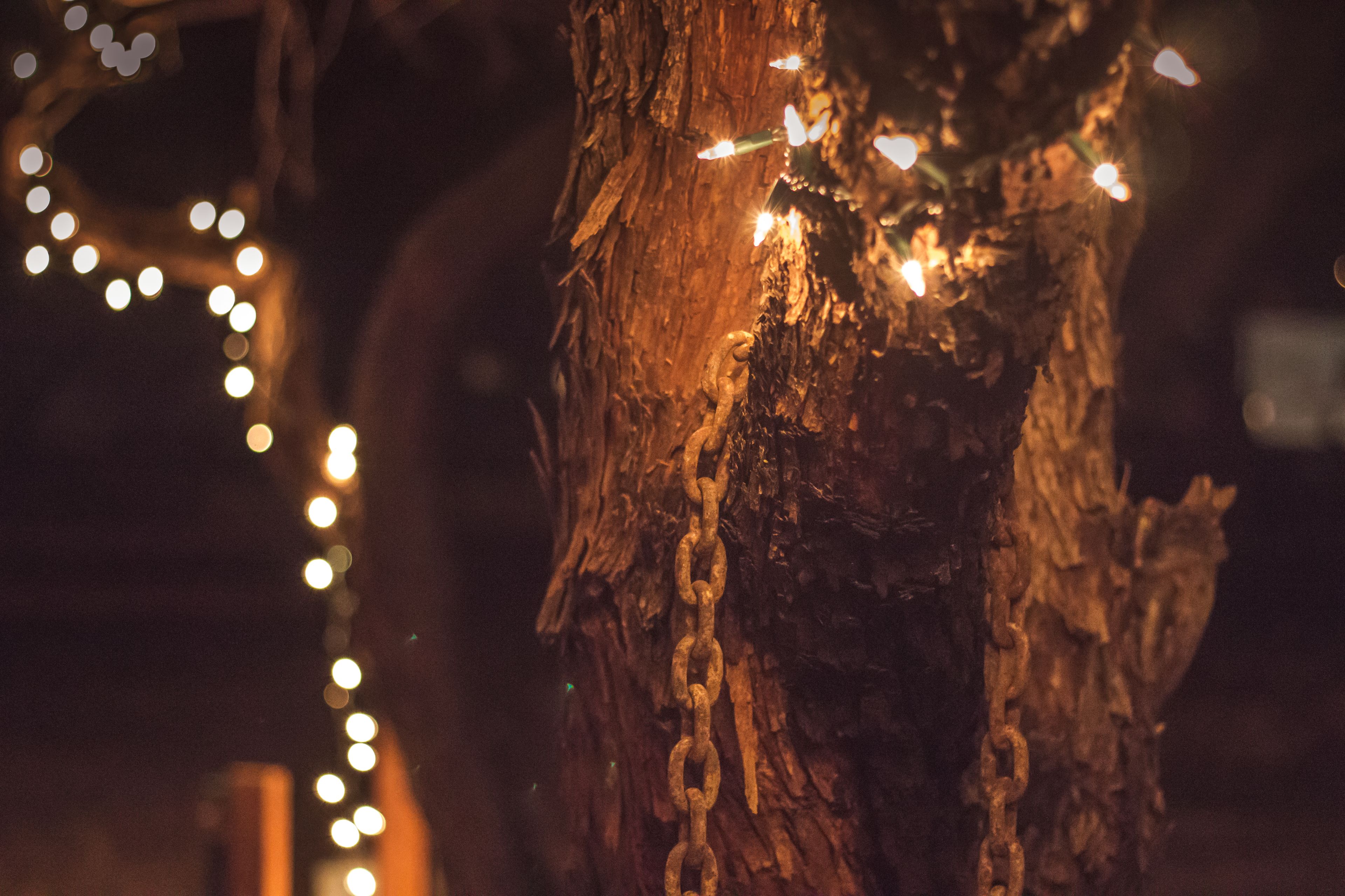 A tree with chains and lights.