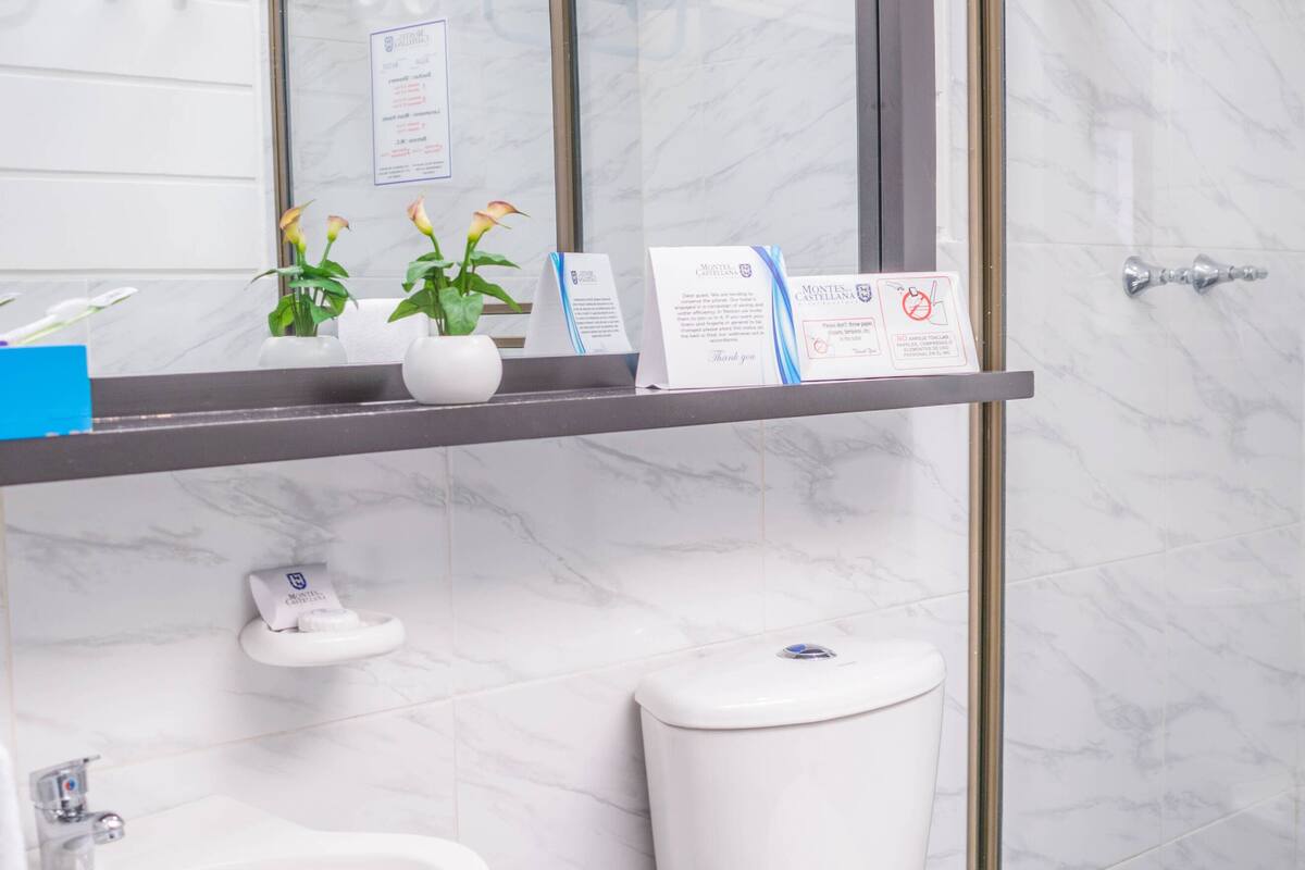 standard triple room | bathroom | shower, hair dryer, towels