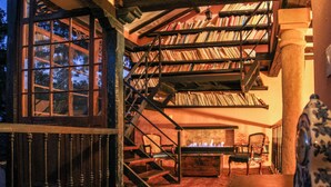 Acogedor salón de lectura con chimenea, estanterías y una escalera.
