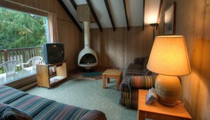 TV, DVD player, iPod dock - Ocean Crest Resort (Moclips)