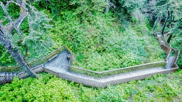 客房景观