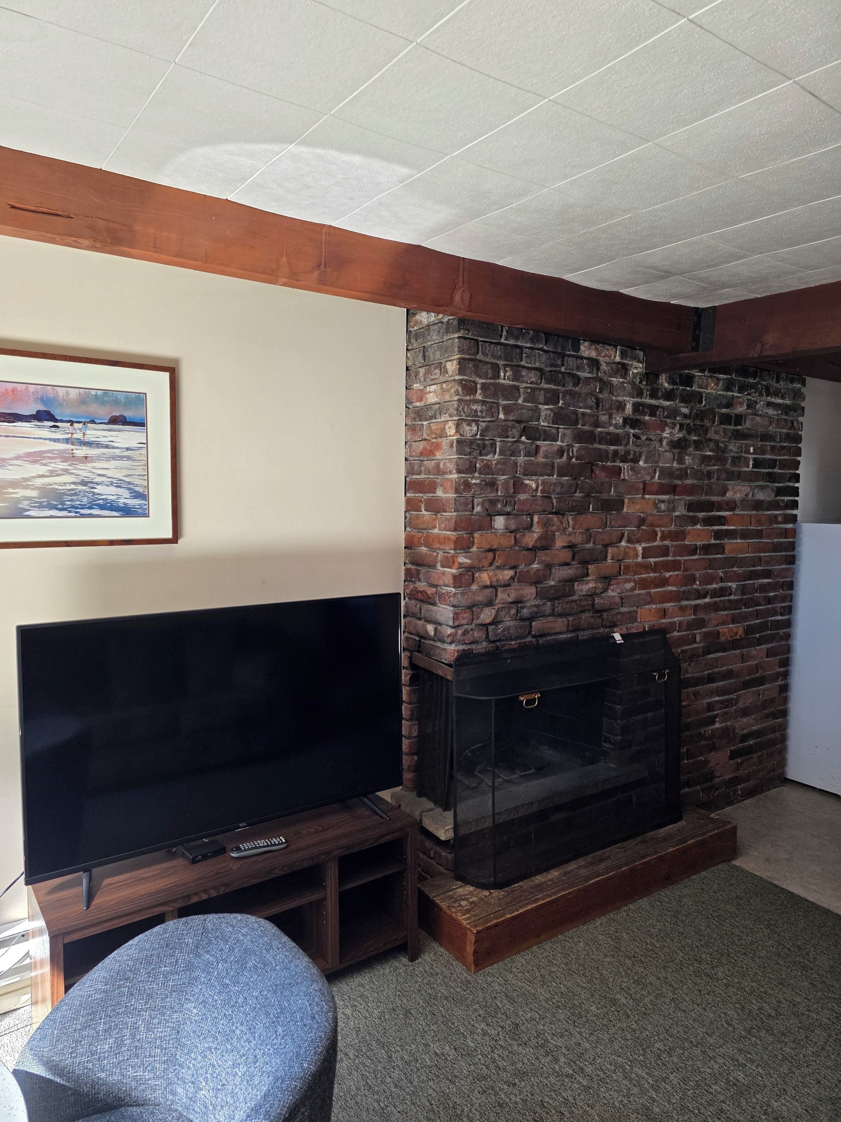 A living room with a flat-screen TV, a fireplace, and a framed picture on the wall.