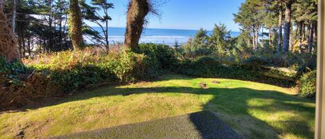 A gravel path leading to a grassy area with a view of the ocean and trees.